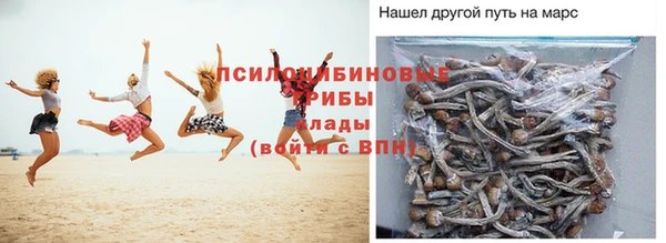 ПСИЛОЦИБИНОВЫЕ ГРИБЫ Струнино