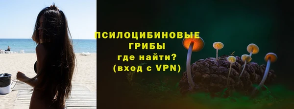 хмурый Сосновка