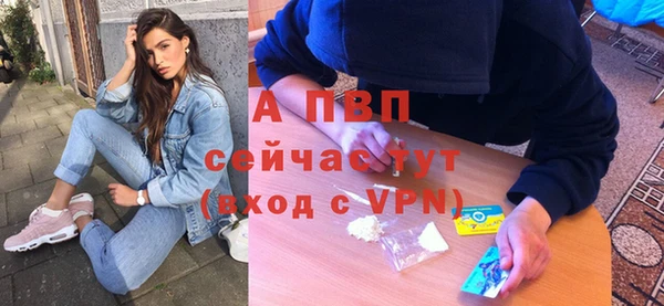 хмурый Сосновка