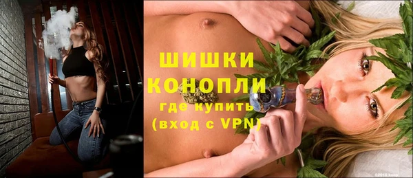 хмурый Сосновка