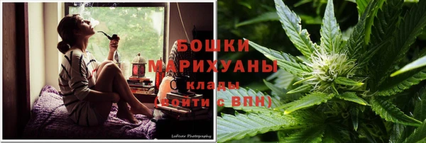 хмурый Сосновка