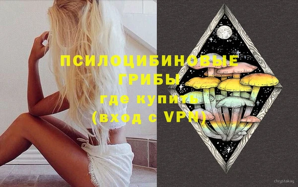 хмурый Сосновка