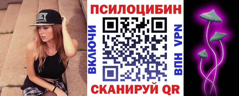 Галлюциногенные грибы Psilocybine cubensis  ссылка на мегу маркетплейс  Хасавюрт  продажа наркотиков 